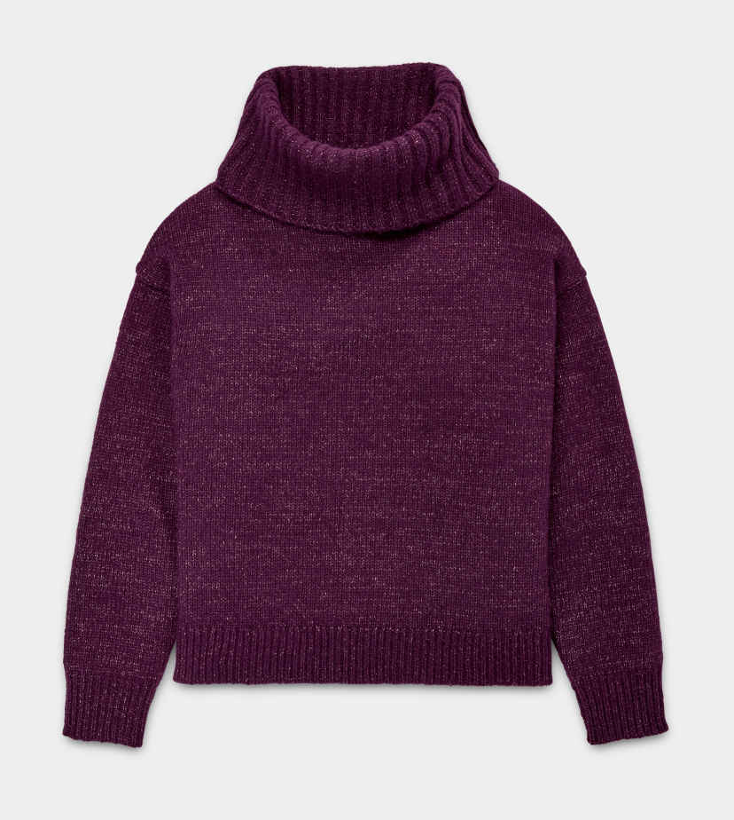 Ugg turtleneck sweater top
